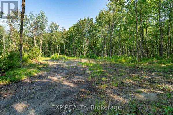 Lot 20 Concession 4 Road, Alfred And Plantagenet, ON K0B1L0 Photo 4