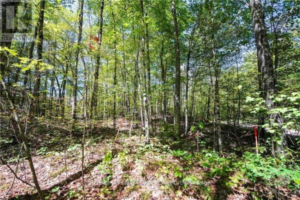Lot #20 Crestview Drive, Greater Madawaska, ON K0J1H0 Photo 4