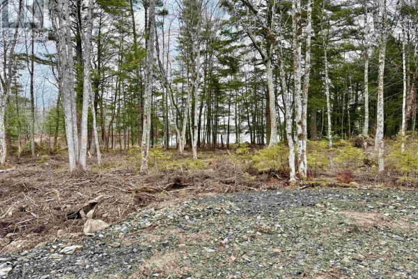 Lot 201 No 8 Highway, Milton, NS B0T1K0 Photo 5