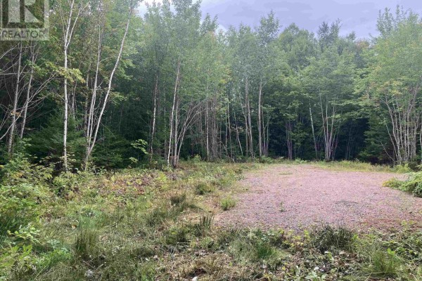 A wide gravel area surrounded by trees, ferns, and underbrush under a gray sky. - Lot 2020-5 Highway 223, Little Narrows