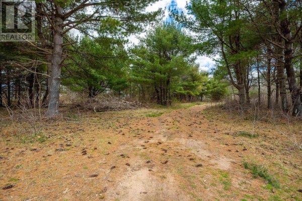 Lot 2021 Central Ave, Greenwood, NS B0P1N0 Photo 2