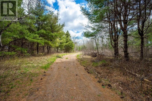 Lot 2021 Central Ave, Greenwood, NS B0P1N0 Photo 4
