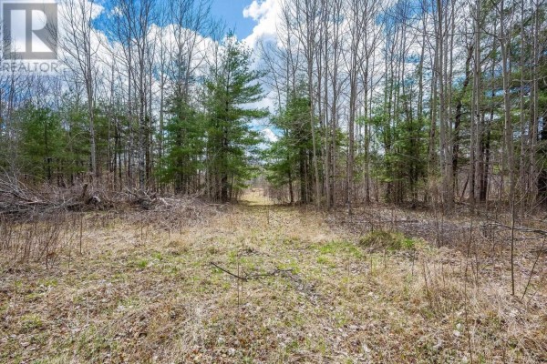 Lot 2021 Central Ave, Greenwood, NS B0P1N0 Photo 5