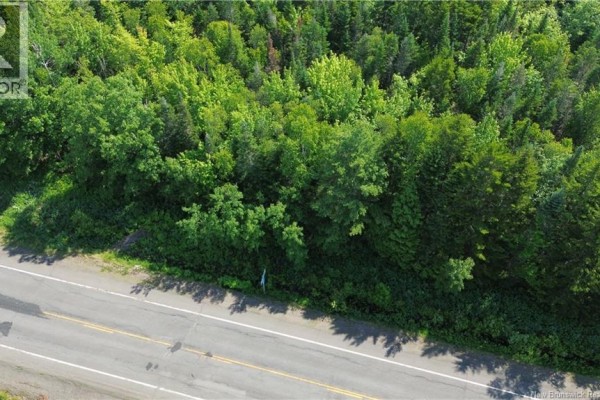Lot 2022-4 Route 105, Mill Cove, NB E4C3B2 Photo 4