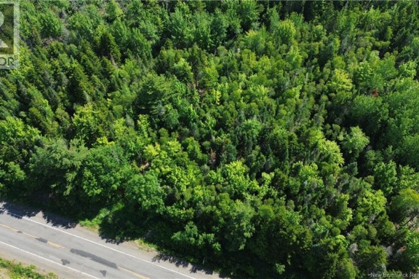 Lot 2022-4 Route 105, Mill Cove, NB E4C3B2 Photo 5