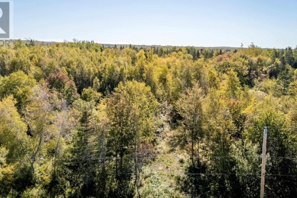 Lot 2024-1 Highway 359, Halls Harbour, NS B0P1J0 Photo 3