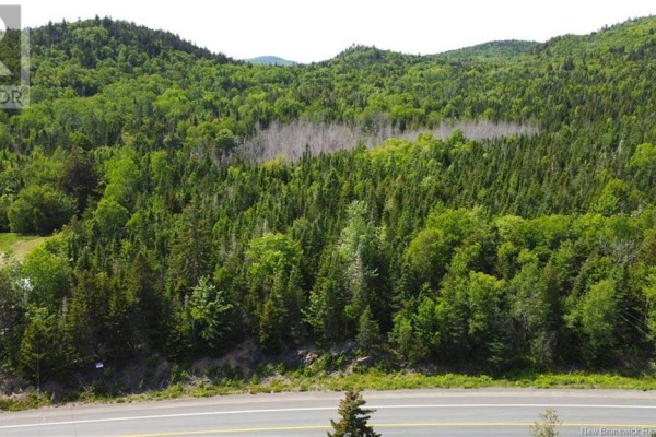 Lot 2024-1 Route 127, Chamcook, NB E5B3R6 Photo 5