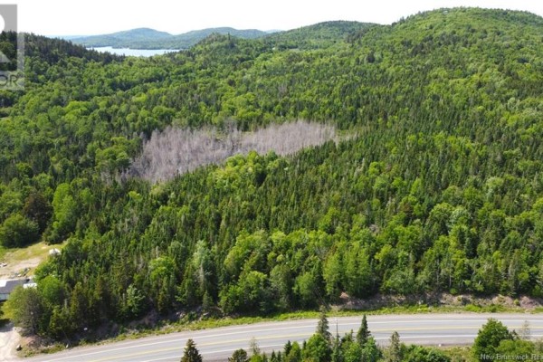 Lot 2024-2 Route 127, Chamcook, NB E5B3R6 Photo 5