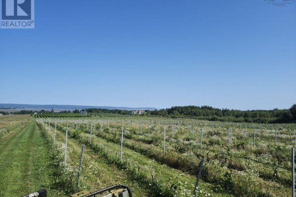 Lot 2024 Maple Ridge Road, Lower Wolfville, NS B4P2R1 Photo 3