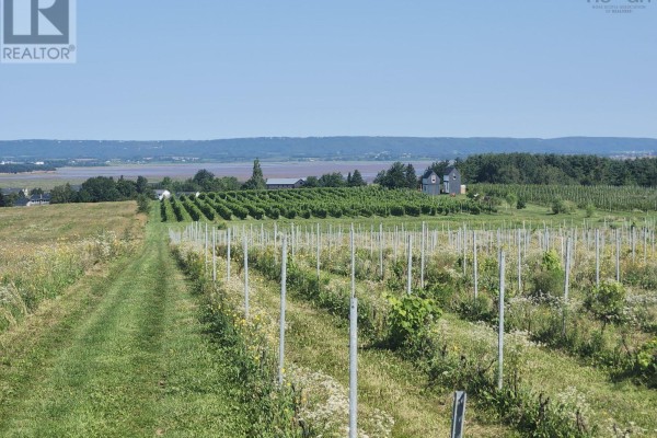 Lot 2024 Maple Ridge Road, Lower Wolfville, NS B4P2R1 Photo 4