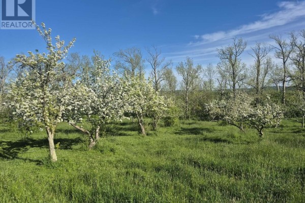 Lot 2025 Clarence Road, Central Clarence, NS B0S1M0 Photo 4