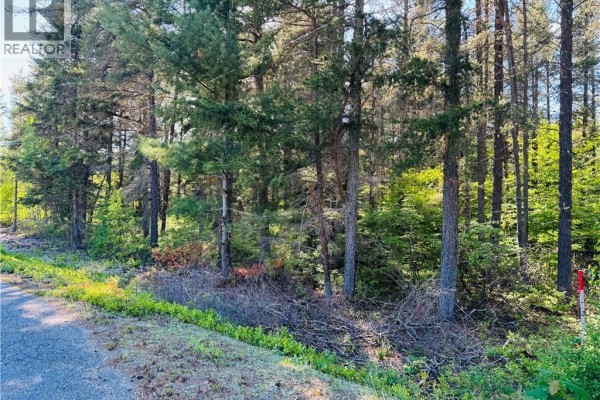 Lot 2026-1 Crystal Drive, Miramichi, NB E1N3P7 Photo 5