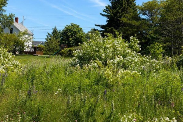 Lot 2026-1 Morrison Street, Glace Bay, NS B1A2G6 Photo 2