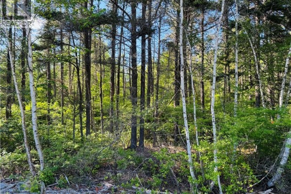 Lot 2026-2 Crystal Drive, Miramichi, NB E1N3P7 Photo 5