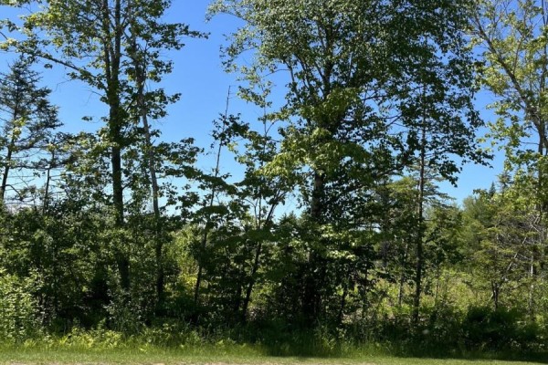 Lot 2026-2 Taranrum Road, Websters Corner, PE C1B3H6 Photo 3