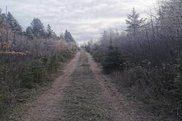 Lot 20c Ashfield Road, River Denys, NS B0E2Y0 Photo 3