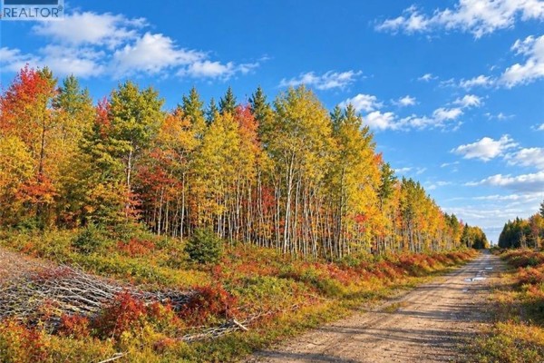 Lot 21-06 Haut Saint-antoine Road, Saint Antoine, NB, photo 2