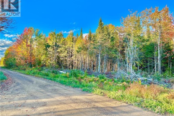 Lot 21-06 Haut Saint-antoine Road, Saint Antoine, NB, photo 3