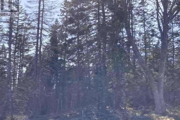 Lot 21-10 Mary Cecelia Ridge, Antigonish County, NS B0H1P0 Photo 4