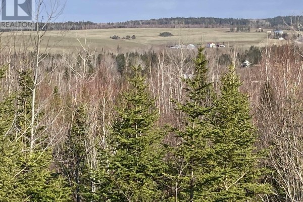 Lot 21-10 Mary Cecelia Ridge, Antigonish County, NS B0H1P0 Photo 5