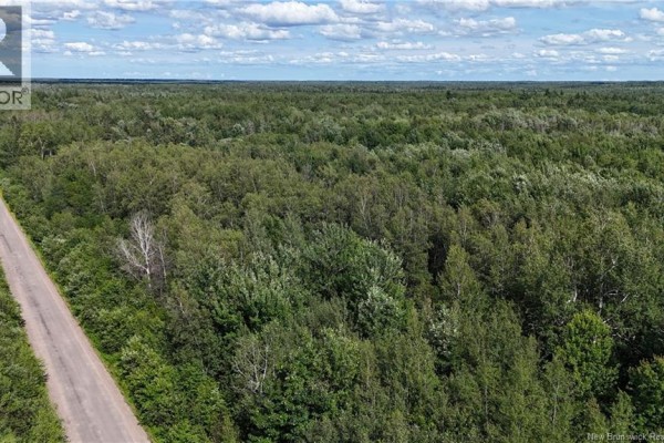 Lot 21-2 St-augustin, Adamsville, NB E4T2E9 Photo 2