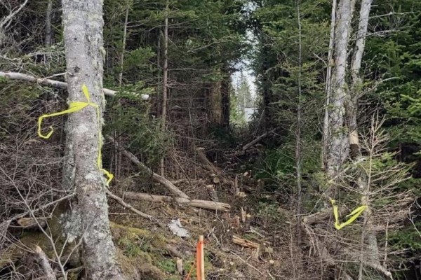Lot 21-2 West Liscomb Point Road, West Liscomb, NS B0J2A0 Photo 3