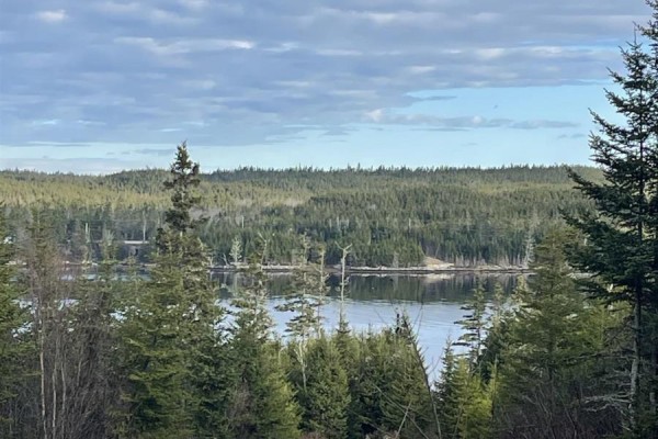 Lot 21-2 West Liscomb Point Road, West Liscomb, NS B0J2A0 Photo 5