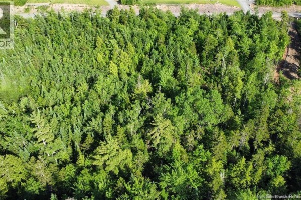Lot 21-39 Orchard Avenue, Irishtown, NB E1H0J5 Photo 5