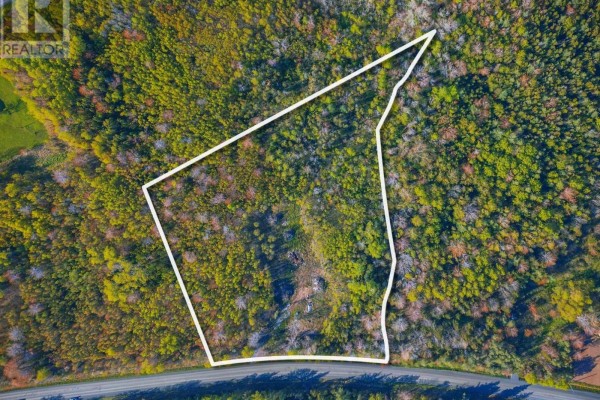 Lot 21-4 Upper Southwest Mabou Road, Dungarry, NS B0E2W0 Photo 2