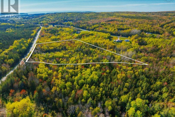 Lot 21-4 Upper Southwest Mabou Road, Dungarry, NS B0E2W0 Photo 5