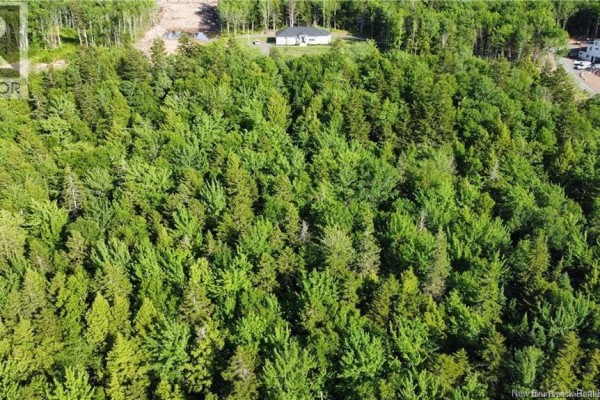 Lot 21-44 Orchard Avenue, Irishtown, NB E1H0J5 Photo 5