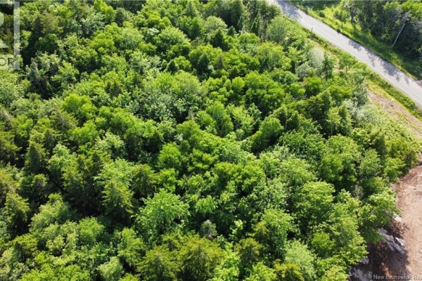 Lot 21-56 Orchard Avenue, Irishtown, NB E1H0J5 Photo 5