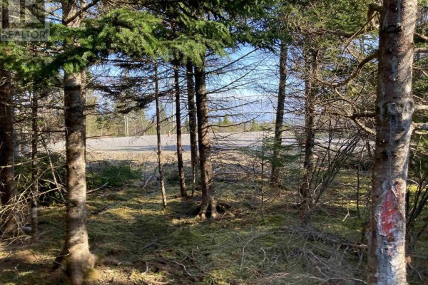 Lot 21-9 Mary Cecelia Ridge, Antigonish County, NS B0H1P0 Photo 2