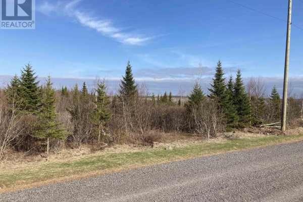 Lot 21-9 Mary Cecelia Ridge, Antigonish County, NS B0H1P0 Photo 4