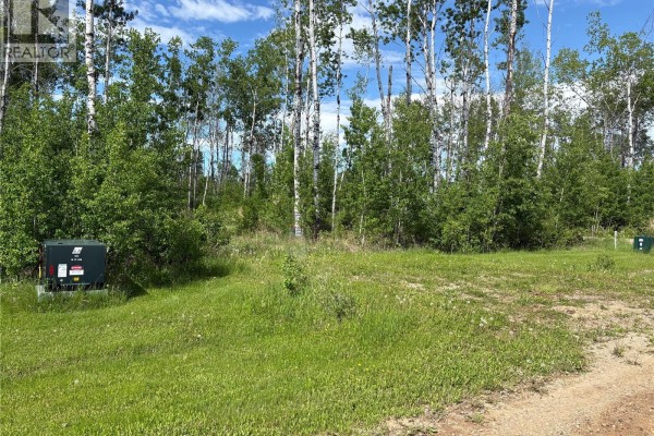 Lot 22, Lakeshore Rv Properties, Delaronde Lake, SK S0J0E0 Photo 4