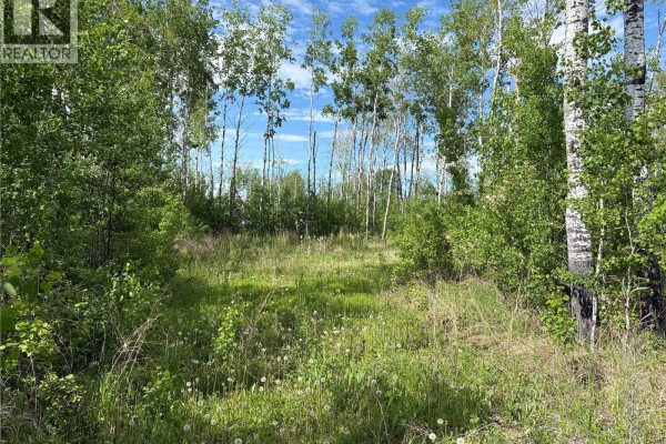 Lot 22, Lakeshore Rv Properties, Delaronde Lake, SK S0J0E0 Photo 5