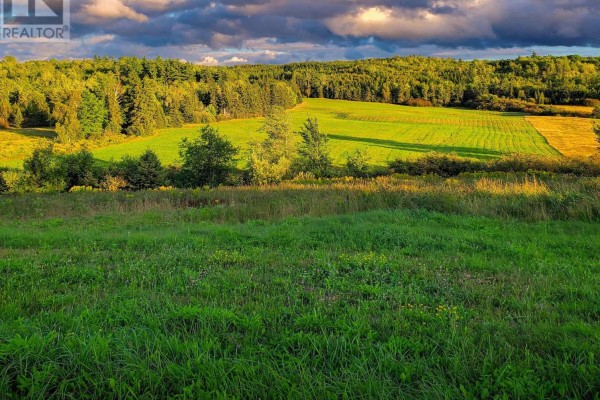 Expansive green fields and trees are bathed in the golden light of late afternoon. - Lot 22-1 Stewiacke Road, South Branch