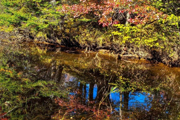 Autumn leaves in red and yellow hues reflect on the surface of a dark stream. - Lot 22-1 Stewiacke Road, South Branch