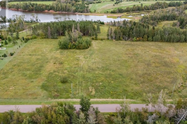 Aerial view of a grassy lot with trees, a road, and power lines. - Lot 22-2 Macphail Cove Road, Fairview