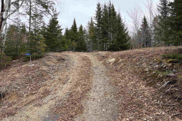 Lot 22-3 226 Brookville Branch Road, Bridgeville, NS B2H5C7 Photo 2