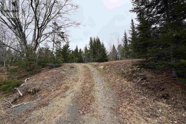Lot 22-3 226 Brookville Branch Road, Bridgeville, NS B2H5C7 Photo 3