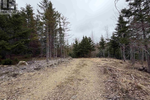 Lot 22-3 226 Brookville Branch Road, Bridgeville, NS B2H5C7 Photo 4