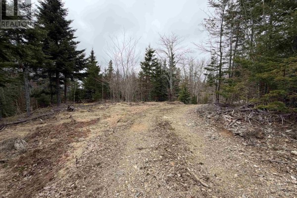 Lot 22-3 226 Brookville Branch Road, Bridgeville, NS B2H5C7 Photo 5