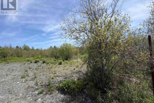A large bush with green leaves sits in the foreground of a cleared lot. - Lot 22-3 Wallace Bridge Station Road, Wallace River West