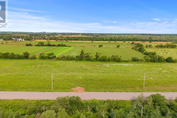 Aerial view of expansive green fields and farmland under a clear blue sky. - Lot 22-6 Lorraine Lane, Mount Stewart