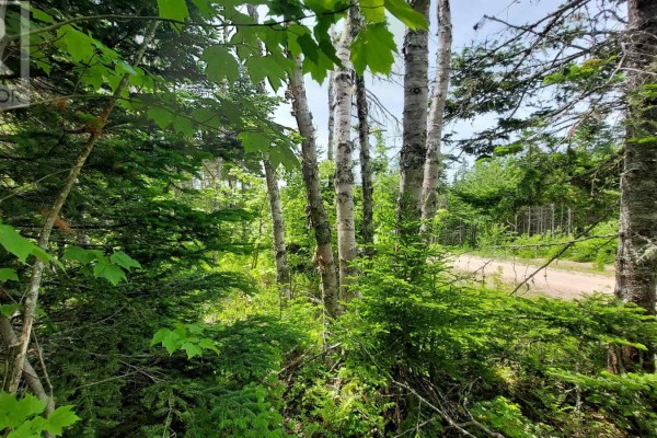 Lot 22 Highway 4, Kempt Road, NS B0E1J0 Photo 5