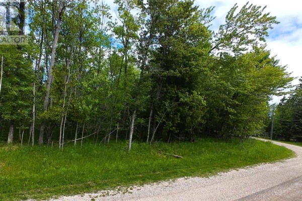 Lot 22 Lily Crescent, Kagawong, ON, photo 3