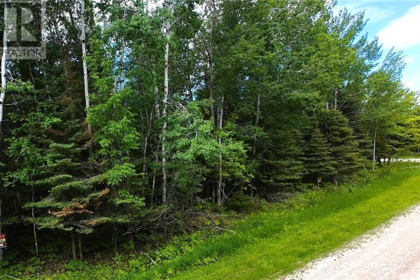 Lot 22 Lily Crescent, Kagawong, ON P0P1J0 Photo 4