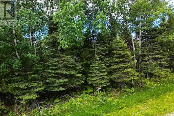 Lot 22 Lily Crescent, Kagawong, ON P0P1J0 Photo 5