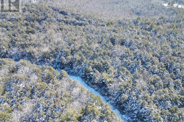 Lot 22 Peters Drive, Upper Ohio, NS B0T1W0 Photo 2
